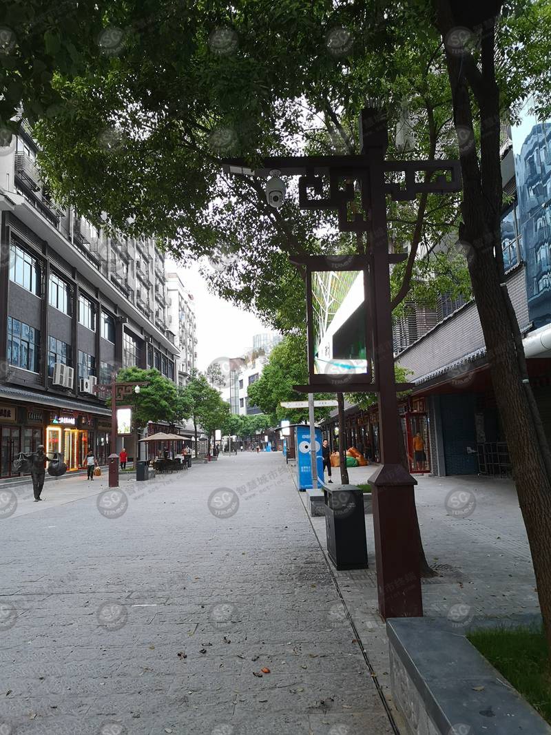 汉正街智慧路灯LED信息发布屏案例